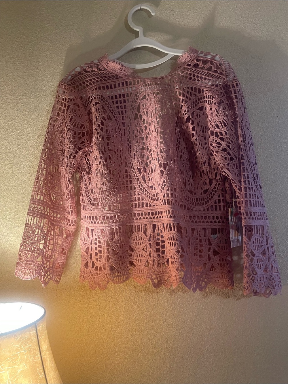 Pink Crochet Lace Peplum Blouse - Feminine Long Sleeve Top